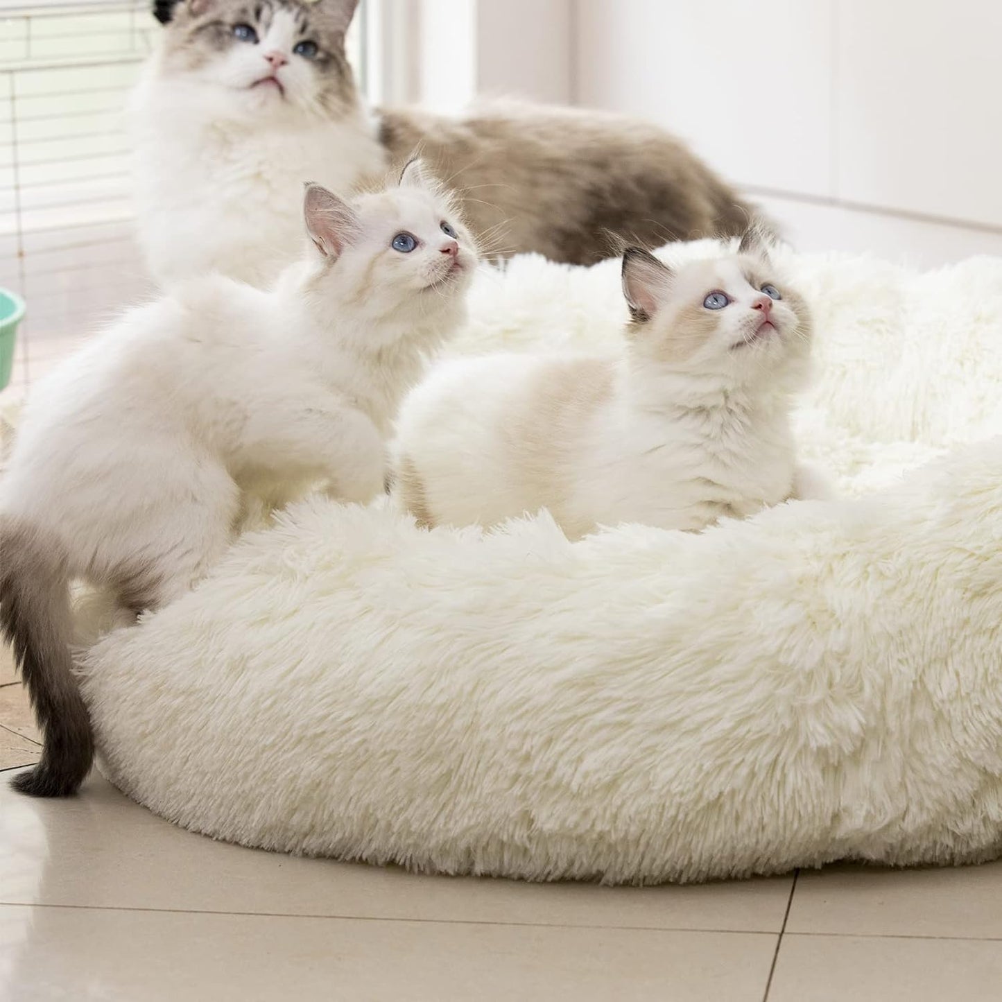 Donut Dog & Cat Bed – Fluffy Plush Faux Fur, Washable, Joint Relief & Improved Sleep, Non-Slip Bottom, Small/Medium/Large Pets